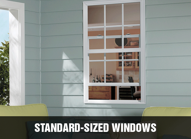 Standard Sized Windows