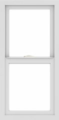 WDMA 18x36 (17.5 x 35.5 inch) Vinyl uPVC White Single Hung Double Hung Window without Grids Interior