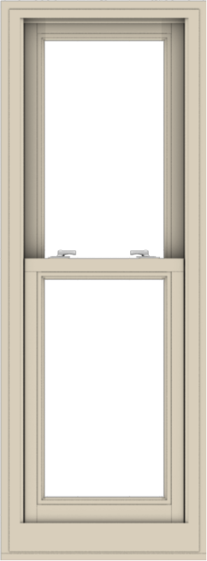 WDMA 20x54 (19.5 x 53.5 inch) Aluminum Single Double Hung Window with ...