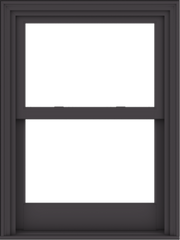 WDMA 30x40 (29.5 x 39.5 inch)  Aluminum Single Hung Double Hung Window without Grids-3