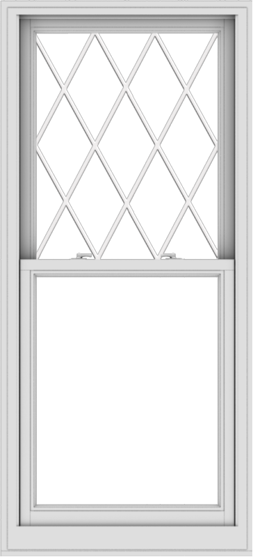 WDMA 30x66 (29.5 x 65.5 inch) Aluminum Single Double Hung Window with ...