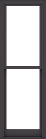 WDMA 30x90 (29.5 x 89.5 inch) Aluminum Single Double Hung Window with ...