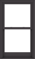 WDMA 32x54 (31.5 x 53.5 inch)  Aluminum Single Hung Double Hung Window without Grids-3