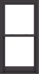 WDMA 32x60 (31.5 x 59.5 inch)  Aluminum Single Hung Double Hung Window without Grids-3