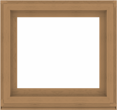 WDMA 38x36 (37.5 x 35.5 inch) Composite Wood Aluminum-Clad Picture Window without Grids-1