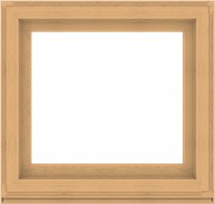 WDMA 38x36 (37.5 x 35.5 inch) Composite Wood Aluminum-Clad Picture Window without Grids-3