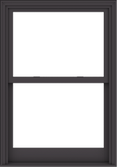 WDMA 38x54 (37.5 x 53.5 inch)  Aluminum Single Hung Double Hung Window without Grids-3