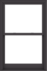 WDMA 40x60 (39.5 x 59.5 inch)  Aluminum Single Hung Double Hung Window without Grids-3