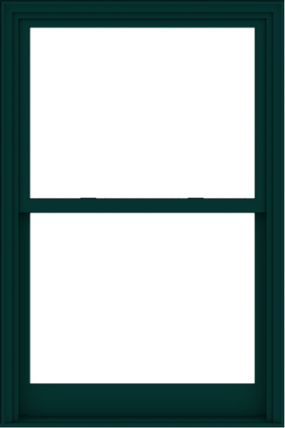 WDMA 40x60 (39.5 x 59.5 inch)  Aluminum Single Hung Double Hung Window without Grids-5