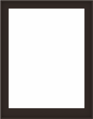 WDMA 44x56 (43.5 x 55.5 inch) Composite Wood Aluminum-Clad Picture Window without Grids-6