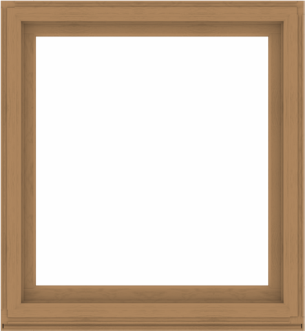 WDMA 48x52 (47.5 x 51.5 inch) Composite Wood Aluminum-Clad Picture Window without Grids-1