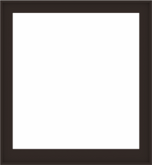 WDMA 48x52 (47.5 x 51.5 inch) Composite Wood Aluminum-Clad Picture Window without Grids-6
