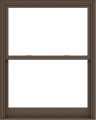 WDMA 48x60 (47.5 x 59.5 inch)  Aluminum Single Hung Double Hung Window without Grids-4