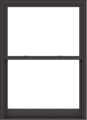 WDMA 48x66 (47.5 x 65.5 inch)  Aluminum Single Hung Double Hung Window without Grids-3