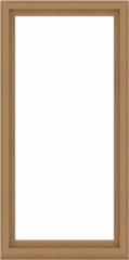 WDMA 48x96 (47.5 x 95.5 inch) Composite Wood Aluminum-Clad Picture Window without Grids-1
