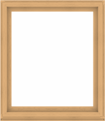 WDMA 52x60 (51.5 x 59.5 inch) Composite Wood Aluminum-Clad Picture Window without Grids-3