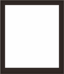 WDMA 52x60 (51.5 x 59.5 inch) Composite Wood Aluminum-Clad Picture Window without Grids-6