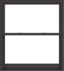 WDMA 54x60 (53.5 x 59.5 inch)  Aluminum Single Hung Double Hung Window without Grids-3