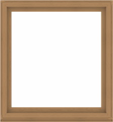 WDMA 56x60 (55.5 x 59.5 inch) Composite Wood Aluminum-Clad Picture Window without Grids-1