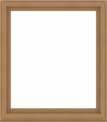 WDMA 56x64 (55.5 x 63.5 inch) Composite Wood Aluminum-Clad Picture Window without Grids-1