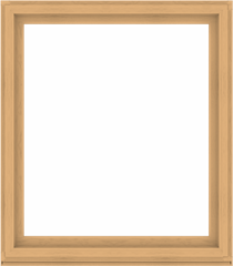 WDMA 56x64 (55.5 x 63.5 inch) Composite Wood Aluminum-Clad Picture Window without Grids-3