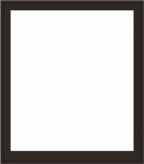 WDMA 56x64 (55.5 x 63.5 inch) Composite Wood Aluminum-Clad Picture Window without Grids-6