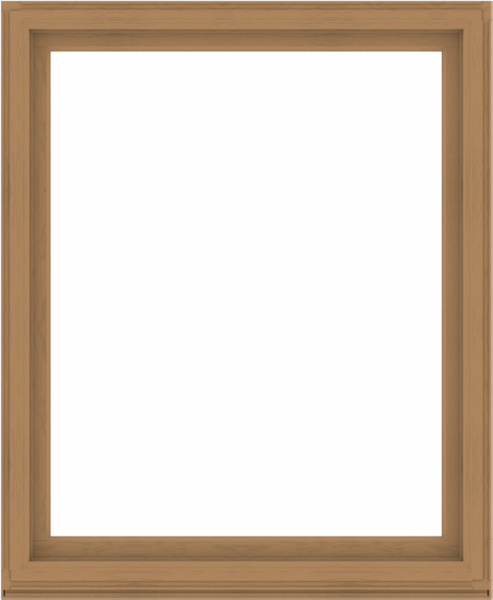 WDMA 56x68 (55.5 x 67.5 inch) Composite Wood Aluminum-Clad Picture Window without Grids-1