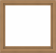 WDMA 60x56 (59.5 x 55.5 inch) Composite Wood Aluminum-Clad Picture Window without Grids-1