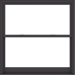 WDMA 60x60 (59.5 x 59.5 inch)  Aluminum Single Hung Double Hung Window without Grids-3