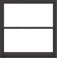 WDMA 60x61 (59.5 x 60.5 inch)  Aluminum Single Hung Double Hung Window without Grids-3