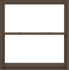 WDMA 60x61 (59.5 x 60.5 inch)  Aluminum Single Hung Double Hung Window without Grids-4