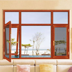 Aluminum frame Tempered Double glass Hung windows with top hinges on China WDMA