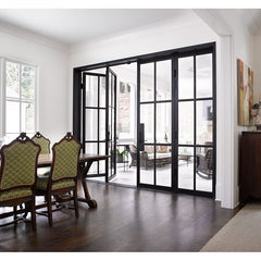 WDMA Modern style home decoration wrought iron windows steel frame interior glass door