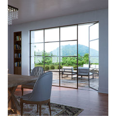 WDMA Vintage Casement Steel Door With Foggy Glass