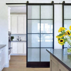 WDMA Metal framed glass sliding doors with barn door hardware kit