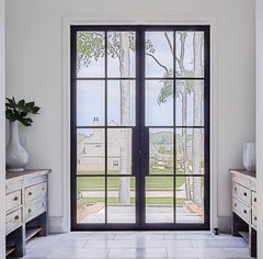 WDMA  Galvanized Steel grid fineline frame window escape door  for villa and garden interior exterior
