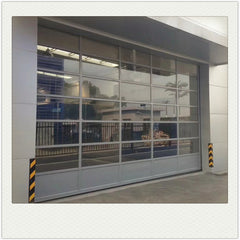 China WDMA Modern electric automatic glass panel steel material sectional garage door