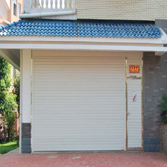 China WDMA modern aluminum glass garage door steel garage door