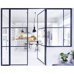 WDMA European style building carbon steel framed glass doors made with opaque glass