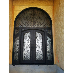 WDMA  Best Quality Arch Top Steel Doors Used Exterior Wrought Iron Gates
