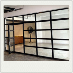 China WDMA Modern electric automatic glass panel steel material sectional garage door price for sale