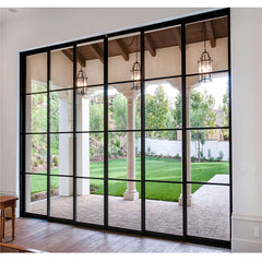 WDMA professional high quality iron glass door interior steel glass doors windows