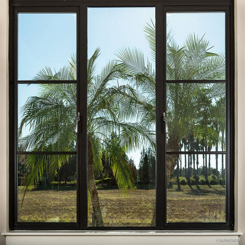 WDMA China factory price French patio iron doors cheap steel frame glass door and window designs