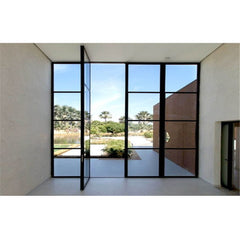 WDMA High Quality Low-e Glass Glazed Steel Iron French Steel Swing Interior Door