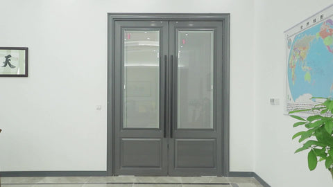 Classical door aluminium shop front door on China WDMA