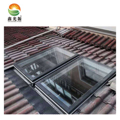 Special design aluminium sliding fashionable and skylight window with great price slope roof on China WDMA