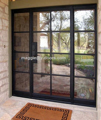 Steel modern French door bi fold door iron sliding door with sidelight and transom on China WDMA