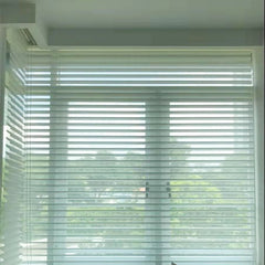 Transparent polyester light filtering shangri la blinds for french door and window on China WDMA