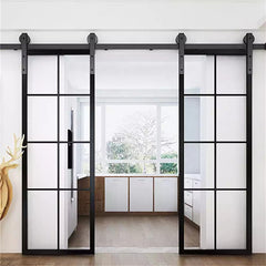 Door Pocket Inserts 2020 Exterior S Cupboard Steel Doors For Modern House Pocket Door China