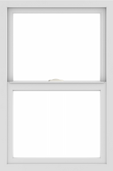 WDMA 24x36 (23.5 x 35.5 inch) black uPVC/Vinyl Single and Double Hung Window without grids interior